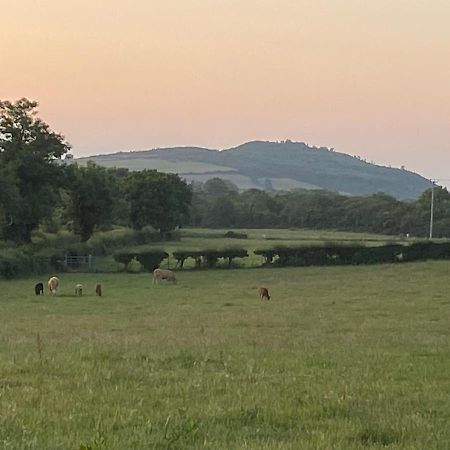 Long View Guest Accommodation Downpatrick Exteriér fotografie